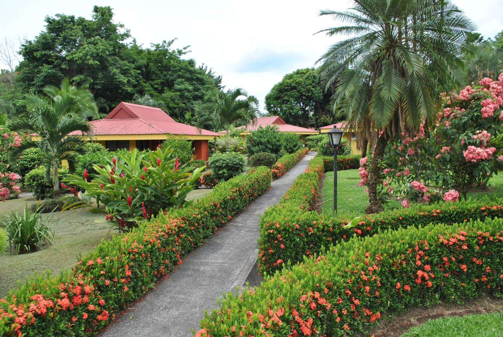 Hotel Arenal Country Inn ラ・フォルトゥナ エクステリア 写真